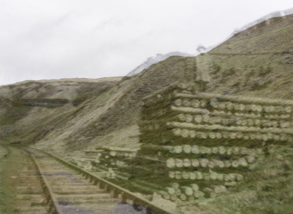 merged image