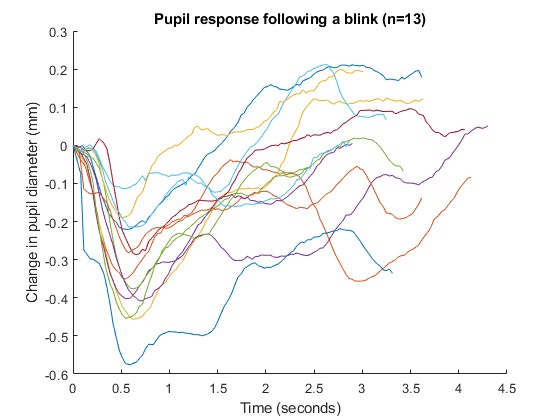 pupil response to blinks